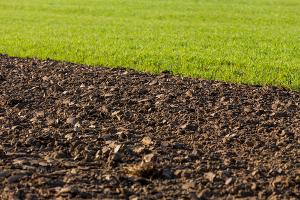 Terre arable pour votre jardin et vos plantations